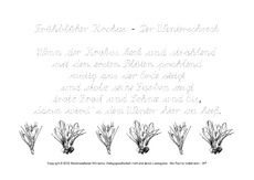 Frühblüher Krokus-LA.pdf